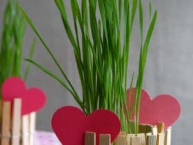 DIY pots de fleurs et bougeoirs avec des pinces à linge