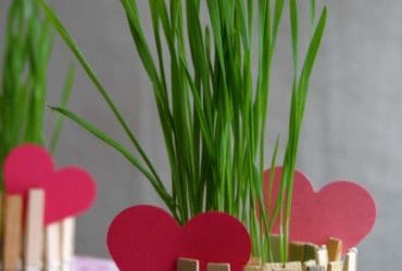 DIY pots de fleurs et bougeoirs avec des pinces à linge