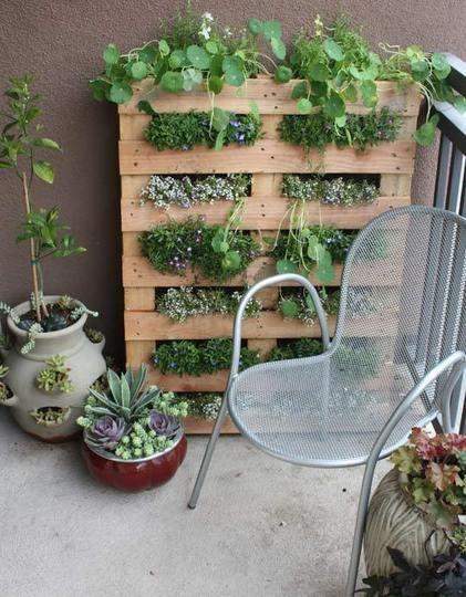 DIY jardin vertical avec des palettes