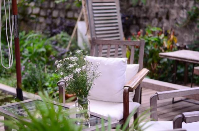 chaise plantes