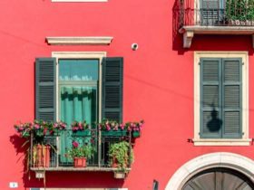 Les 5 meilleures plantes pour décorer votre balcon