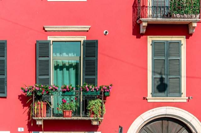 Les 5 meilleures plantes pour décorer votre balcon