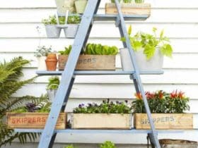 Escabeau porte-jardinière DIY pour votre extérieur