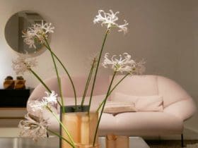 5 règles à respecter en aménageant une pièce sans fenêtre