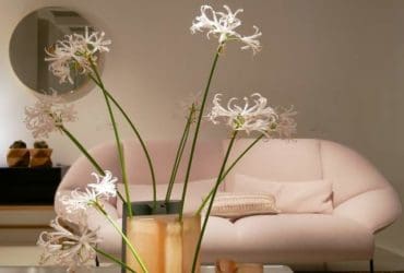 5 règles à respecter en aménageant une pièce sans fenêtre