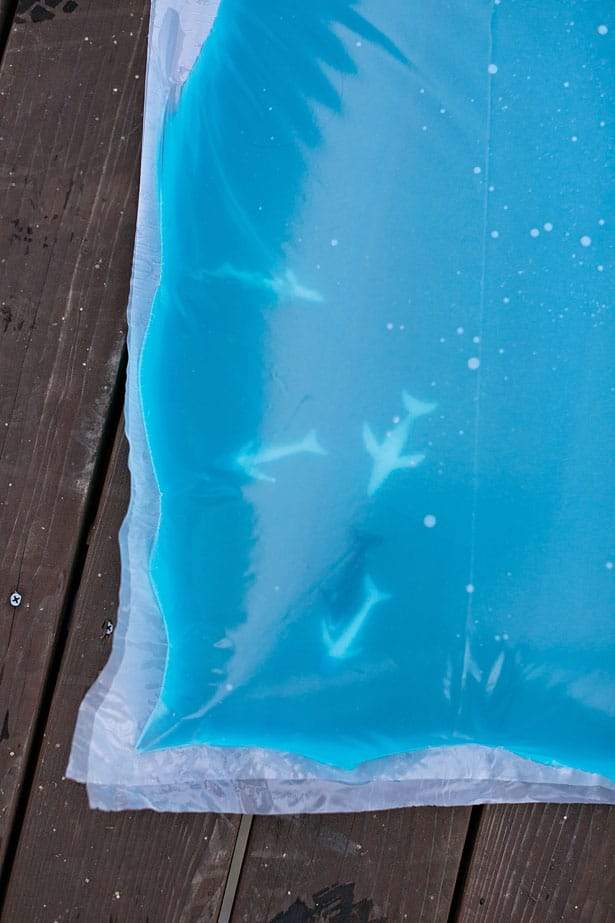 poissons dans le matelas