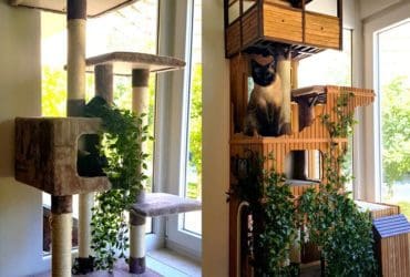DIY : arbre à chat personnalisé en bois à faire soi-même