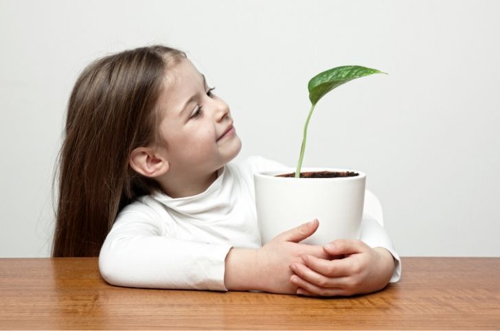Fille regarde plante