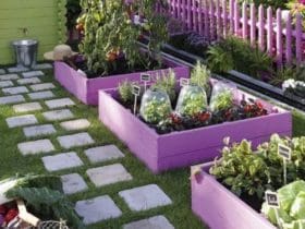 Organiser son potager : 9 idées inspirantes à mettre en pratique dès aujourd'hui