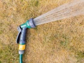 Jardin : 10 astuces pour réparer les dégâts de l'été