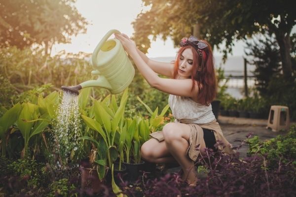 Femme en train d'arroser les plantes dans son jardin