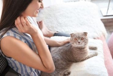 Poils d'animaux : 7 astuces faciles pour les retirer de votre maison