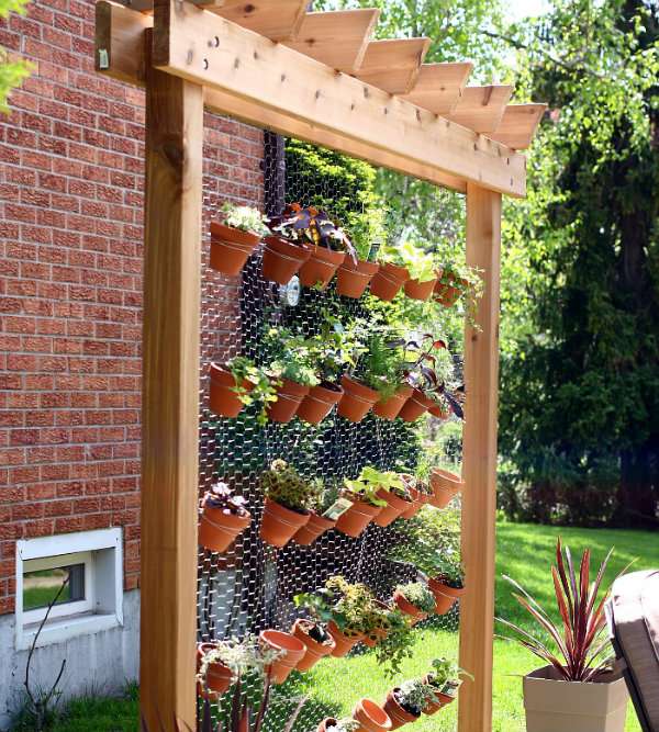 Un jardin vertical avec un grillage à poules