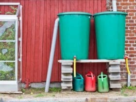 Tout ce que vous devez savoir sur la récupération d'eau de pluie