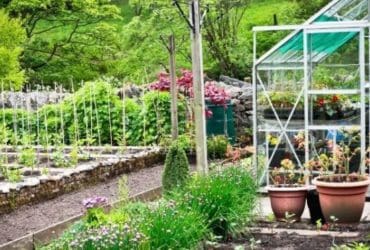 Que faire au potager en octobre ?