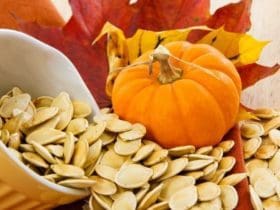 Graines de courge : bienfaits et vertus pour la santé