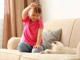 Comment protéger votre canapé des griffes du chat : 3 Méthodes à essayer et 4 erreurs à éviter