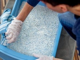 Comment entretenir la litière du chat : 5 bons gestes et astuces à savoir