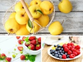 Le top 10 des aliments les plus antioxydants