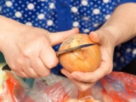 Comment éplucher les oignons sans pleurer ?