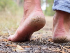 Pieds secs : 6 remèdes naturels pour retrouver des pieds tout doux