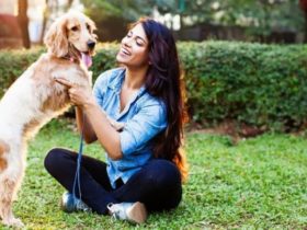 Comment dresser un chien : astuces et conseils