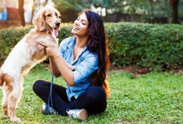 Comment dresser un chien : astuces et conseils