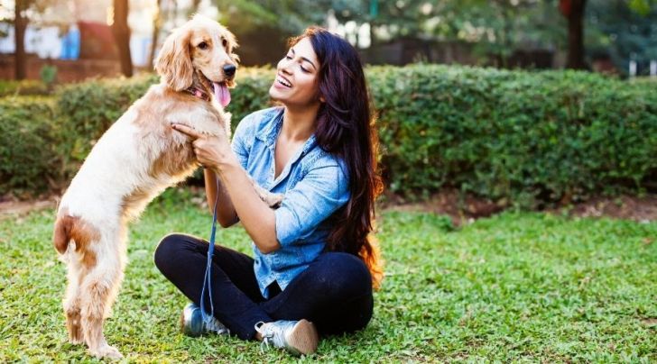 Comment dresser un chien : astuces et conseils