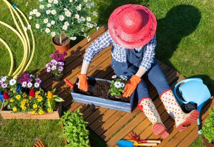 Utilisations méconnues de l'eau oxygénée dans le jardin