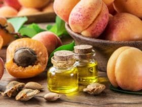 Noyaux d'abricots : pourquoi il ne faut plus les jeter ?