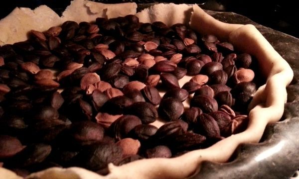 Lester une pâte à tarte avec des noyaux d'abricots