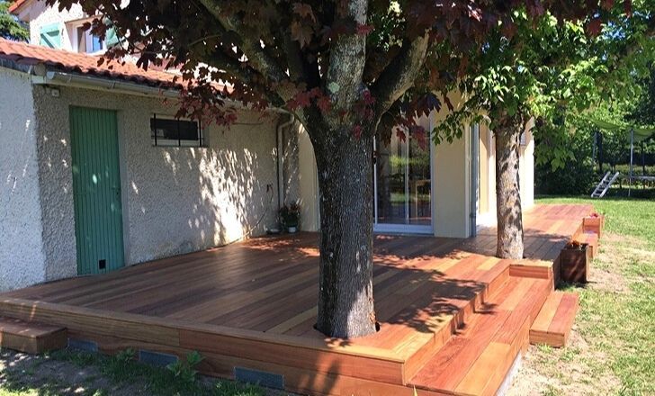 Grande arbre couvrant une terrasse