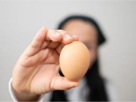 Comment reconnaître un oeuf frais d'un oeuf périmé ?