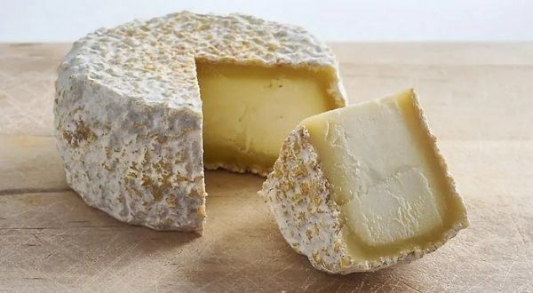 Le fromage de chèvre
