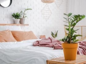 Les plantes à consommer pour lutter contre la fatigue mentale