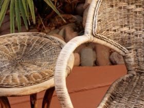 Comment nettoyer et entretenir l'osier