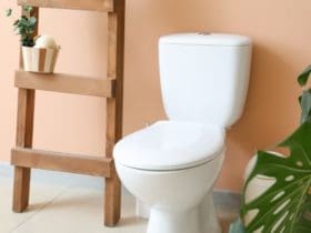 Comment débarrasser vos toilettes de l'odeur de pipi