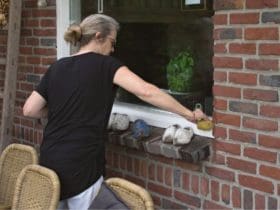 Comment nettoyer les rails des fenêtres ?