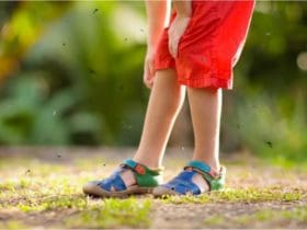 Les couleurs de vêtements qui attirent le plus les moustiques