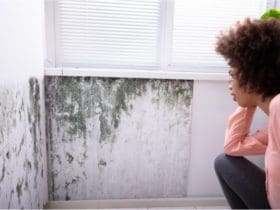 Comment éliminer définitivement les moisissures des murs