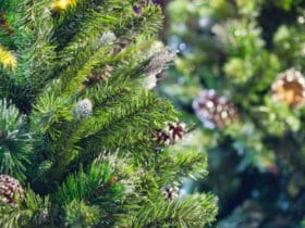 Après Noël : Idées Créatives pour Réutiliser votre Sapin