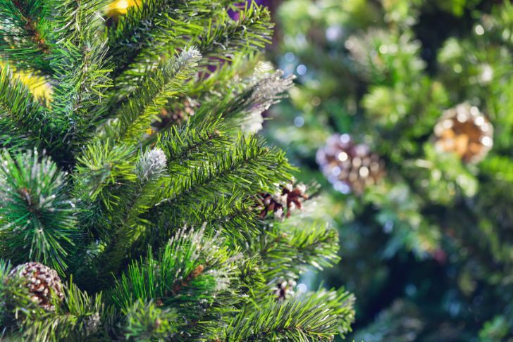 Après Noël : Idées Créatives pour Réutiliser votre Sapin