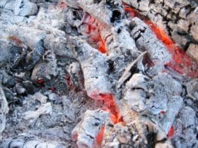 Cendres de bois : 20 utilisations méconnues