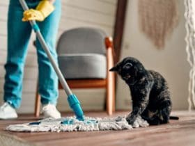 Comment bien nettoyer sa serpillière