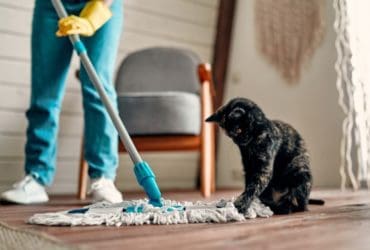 Comment bien nettoyer sa serpillière