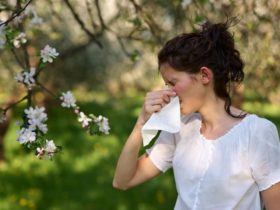 Comment prévenir les allergies du printemps