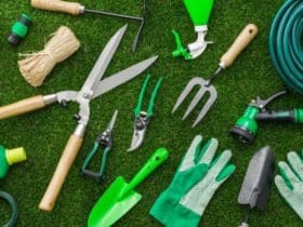 Comment bien nettoyer et entretenir vos outils de jardin