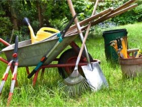 Les méthodes pour nettoyer les équipements de jardinage