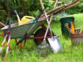 Les méthodes pour nettoyer les équipements de jardinage