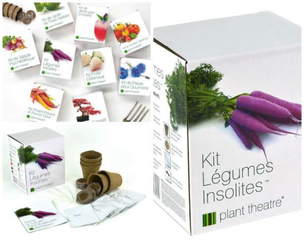 Kit légumes pour une maman qui a la main verte